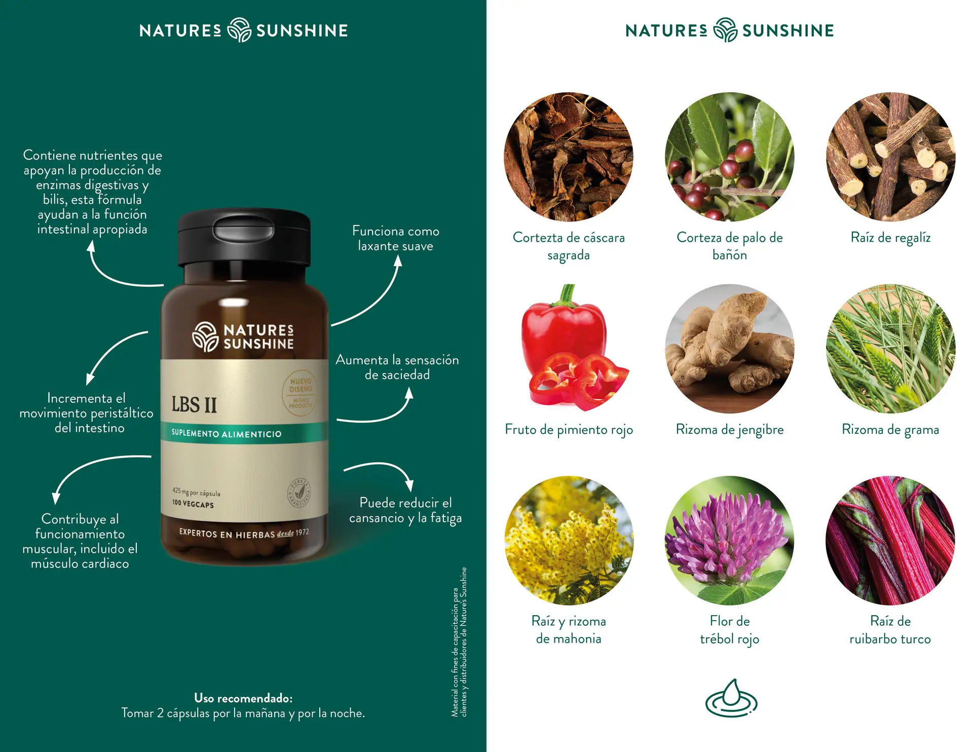 Estimulador del Intestino Bajo