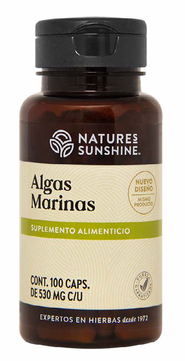 Algas Marinas