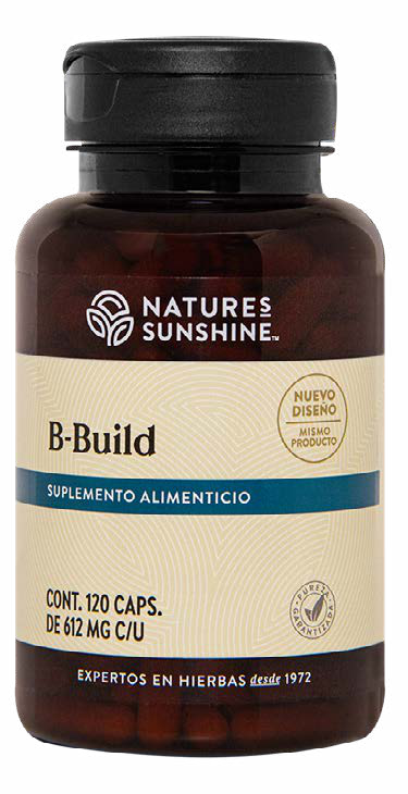 B-Build