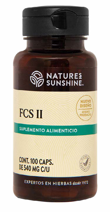 FCS II