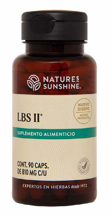 LBS-II